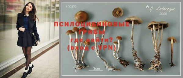 a pvp Осташков