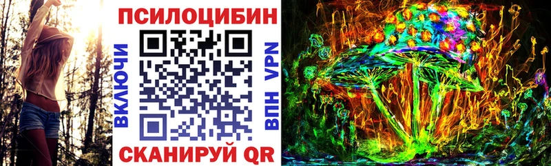 Галлюциногенные грибы Magic Shrooms  Судогда 